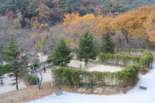 금대자동차야영장 레저스포츠 정보와 주변 관광 명소 및 근처 맛집 여행 정보