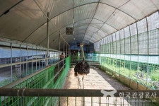 찬우물 체험동물농장 관광 정보와 주변 관광 명소 및 근처 맛집 여행 정보