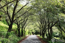 사촌해수욕장 - 주변 여행 및 근처 관광 명소 - 국내 여행 정보와 관광 명소 정보