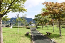 불갑저수지 수변공원 관광 정보와 주변 관광 명소 및 근처 맛집 여행 정보