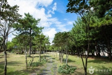 표선해수욕장 야영장 레저스포츠 정보와 주변 관광 명소 및 근처 맛집 여행 정보