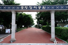 중랑장미공원 관광 정보와 주변 관광 명소 및 근처 맛집 여행 정보