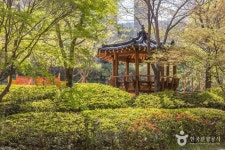 용소웰빙공원 관광 정보와 주변 관광 명소 및 근처 맛집 여행 정보