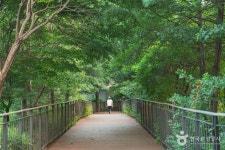 우장산공원 관광 정보와 주변 관광 명소 및 근처 맛집 여행 정보