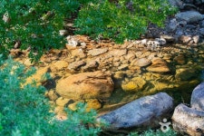 성불계곡 관광 정보와 주변 관광 명소 및 근처 맛집 여행 정보