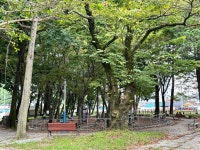 임내숲 어린이공원 관광 정보와 주변 관광 명소 및 근처 맛집 여행 정보