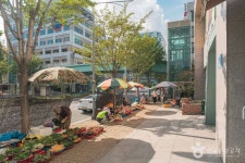 석탑사 - 주변 여행 및 근처 관광 명소 - 국내 여행 정보와 관광 명소 정보