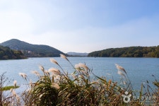 체험이 있는 풍경 길을 가다 - 주변 여행 및 근처 관광 명소 - 국내 여행 정보와 관광 명소 정보