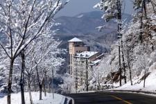 Oak Valley Snow Park (오크밸리 스키장) - Leisure - Korea travel and tourism information