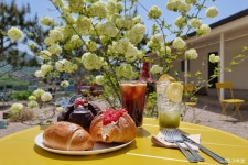 블룸비스타호텔앤컨퍼런스 - 주변 여행 및 근처 관광 명소 - 국내 여행 정보와 관광 명소 정보