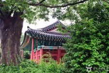 고소대 - 주변 여행 및 근처 관광 명소 - 국내 여행 정보와 관광 명소 정보