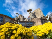 八公山国立公園（カッパウィ地区）（팔공산국립공원（갓바위지구）） - 観光 - 韓国旅行・観光情報
