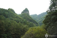 덕항산 관광 정보와 주변 관광 명소 및 근처 맛집 여행 정보