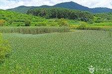 금곡소류지 관광 정보와 주변 관광 명소 및 근처 맛집 여행 정보
