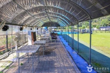 노리개운동장 관광 정보와 주변 관광 명소 및 근처 맛집 여행 정보