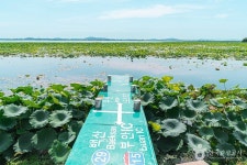 청호저수지 관광 정보와 주변 관광 명소 및 근처 맛집 여행 정보
