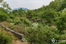 우면산자연생태공원 관광 정보와 주변 관광 명소 및 근처 맛집 여행 정보