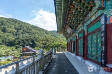 정토사(성남) 관광 정보와 주변 관광 명소 및 근처 맛집 여행 정보