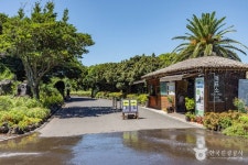 [제주올레 4코스] 표선-남원 올레 레저스포츠 정보와 주변 관광 명소 및 근처 맛집 여행 정보