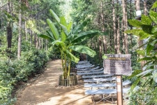 나폴리농원 관광 정보와 주변 관광 명소 및 근처 맛집 여행 정보