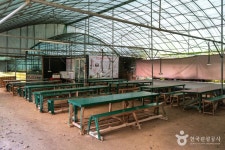 구암팜스테이마을 관광 정보와 주변 관광 명소 및 근처 맛집 여행 정보