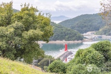 삼덕항 - 주변 여행 및 근처 관광 명소 - 국내 여행 정보와 관광 명소 정보