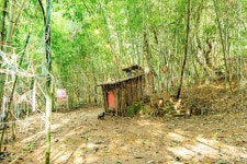 당림미술관 문화 정보와 주변 관광 명소 및 근처 맛집 여행 정보