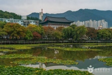 성당못 관광 정보와 주변 관광 명소 및 근처 맛집 여행 정보