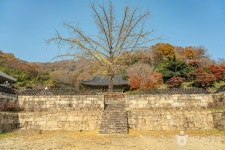 운주사 - 주변 여행 및 근처 관광 명소 - 국내 여행 정보와 관광 명소 정보