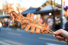 무료콘텐츠 - 클립아트코리아 :: 통로이미지(주) 오짱