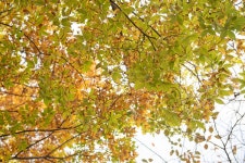 [관광겔러리] 강변산책 ( 부산광역시 연제구 온천천남로 )