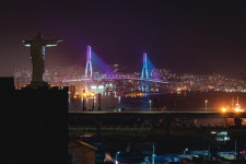 [관광겔러리] 우암동도시숲 ( 부산광역시 남구 동항로 )