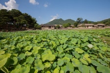 유토이미지 | 이미지·일러스트·그래픽·영상을 검색하세요
