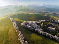유토이미지 | 무료콘텐츠 | 한국관광공사