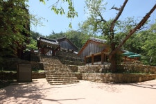 [관광겔러리] 도림사 ( 전라남도 곡성군 기타 )