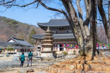 [관광겔러리] 부여 무량사 ( 충청남도 부여군 외산면 )