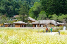 [관광겔러리] 이효석 생가터 ( 강원도 평창군 봉평면 )