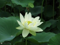  여행이야기