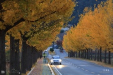 여행정보 경북나드리::경북관광공식사이트