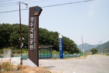  Daereungwon Tomb Complex 경북나드리::경북관광공식사이트