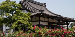  Tour Articles 경북나드리::경북관광공식사이트