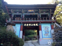 음식정보 경북나드리::경북관광공식사이트