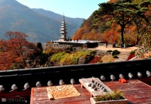 숙박정보 경북나드리::경북관광공식사이트