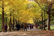 숙박정보 경북나드리::경북관광공식사이트