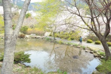 거제시 관광문화홈페이지