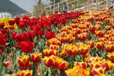 거제관광문화 : 커뮤니티 > 거제관광투어 SNS 공모전 > 제3회 거제관광투어블로그  상세보기