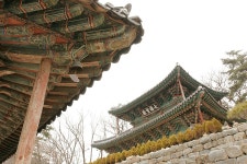 벌목업(대광중기) | 공주 문화관광