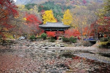 (제1탄) 광주 인근관광 - 백양사 쌍계루에서 가을을 느끼다. | 상세 | 여행후기 : 광주문화관광