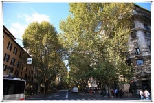 프리야 토픽 iframe영역