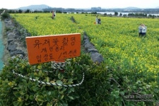 프리야 토픽 iframe영역